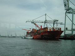 DSCN0959